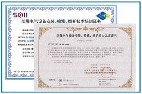 Maintenance-qualification