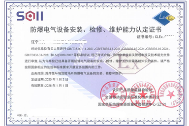 What qualifications are required for the installation of Ex equipment?