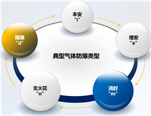 爆炸性气体场所使用防爆设备的IP防护等级要求